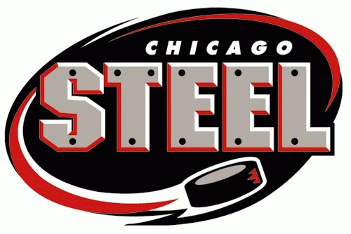 chicago steel 2000-pres primary logo iron on transfers for T-shirts